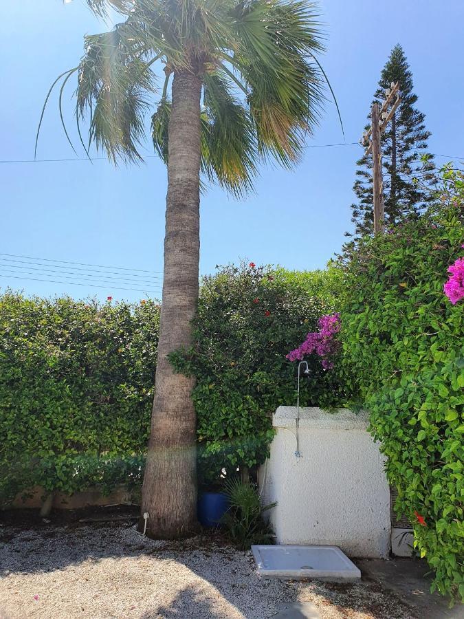 Nissi Beach Luxury Villaer Ajía Nápa